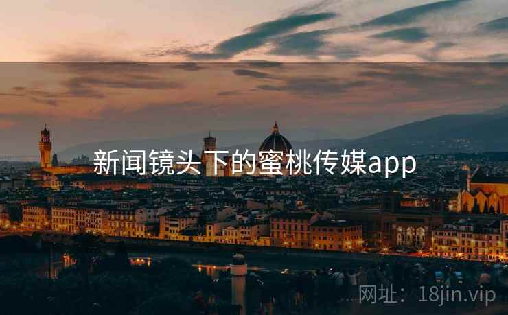 新闻镜头下的蜜桃传媒app
