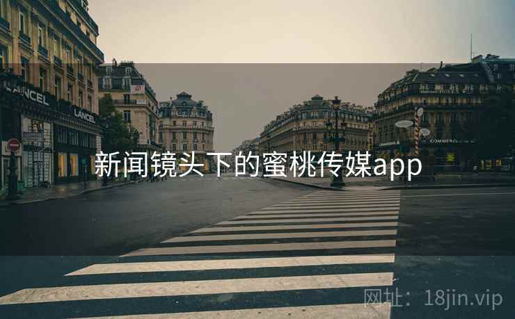 新闻镜头下的蜜桃传媒app