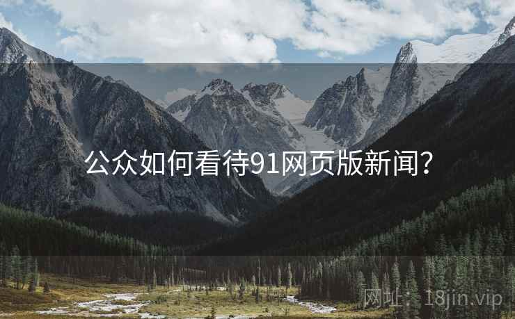 公众如何看待91网页版新闻？