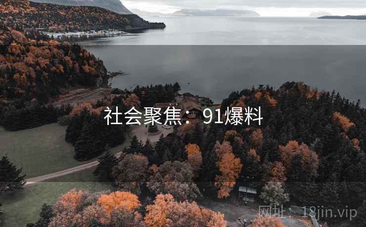 社会聚焦：91爆料