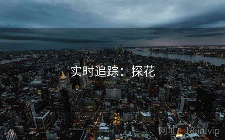 实时追踪：探花