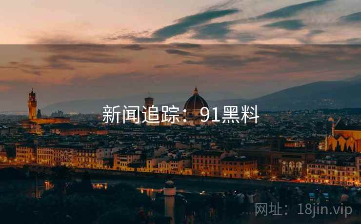 新闻追踪：91黑料