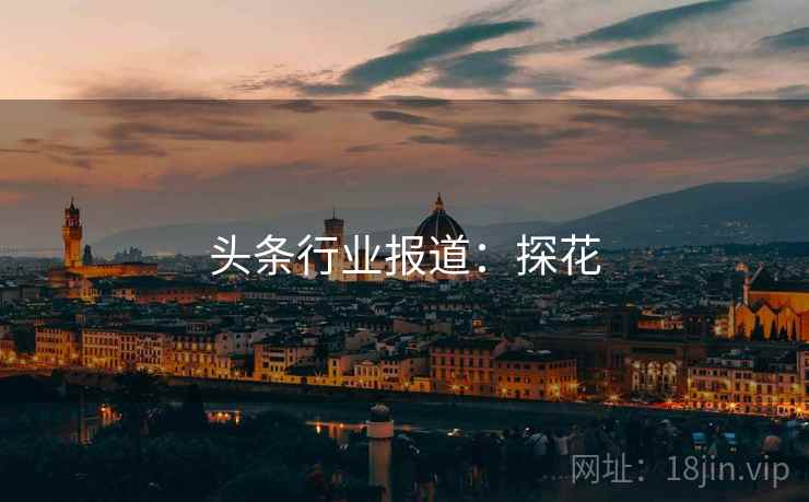 头条行业报道：探花