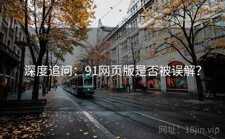 深度追问：91网页版是否被误解？