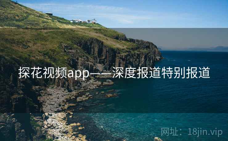 探花视频app——深度报道特别报道