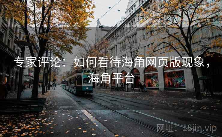 专家评论：如何看待海角网页版现象，海角平台