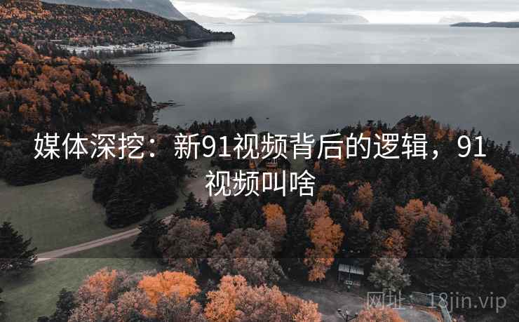 媒体深挖：新91视频背后的逻辑，91视频叫啥
