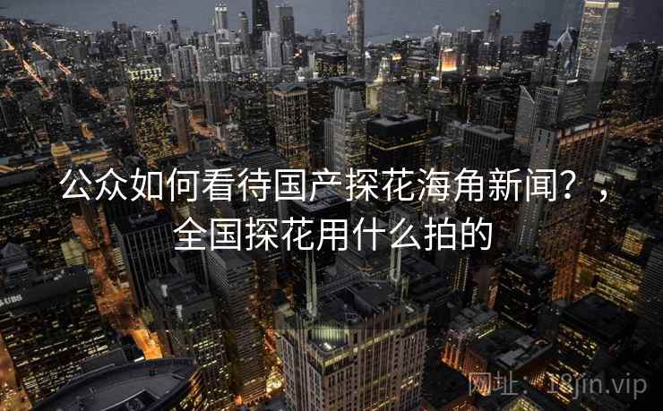 公众如何看待国产探花海角新闻？，全国探花用什么拍的