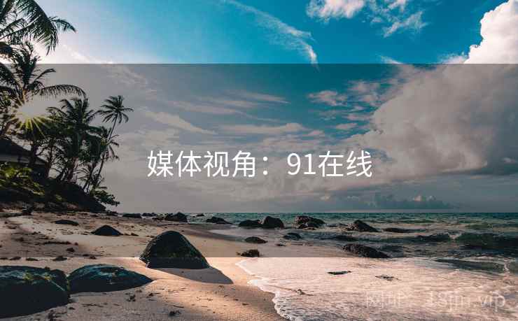 媒体视角：91在线